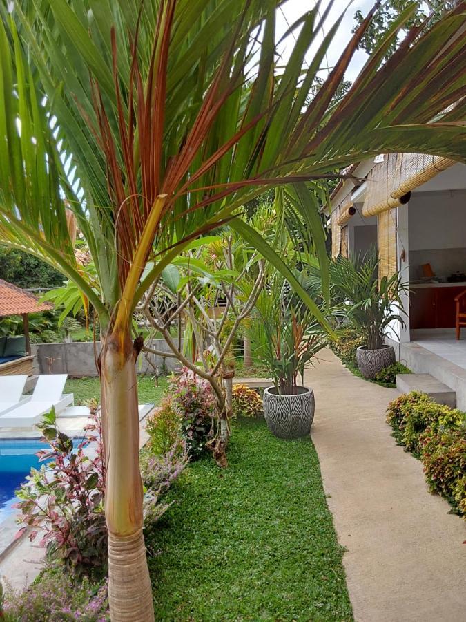Okaoki Homestay Amed Esterno foto